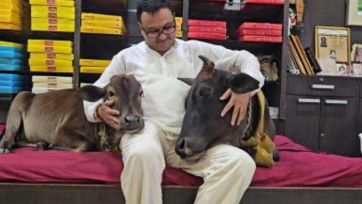 चंद्रमणि गौ चिकित्सा सदन एवं रिसर्च सेन्टर होगा पूरी दुनिया में पहला पशु चिकित्सालय होगा जिसका नाम एक गौ माता के नाम में होगा। देश-दुनिया में नाम करने वाली ‘चंद्रमणि’ पहुंची मनोहर गौशाला।