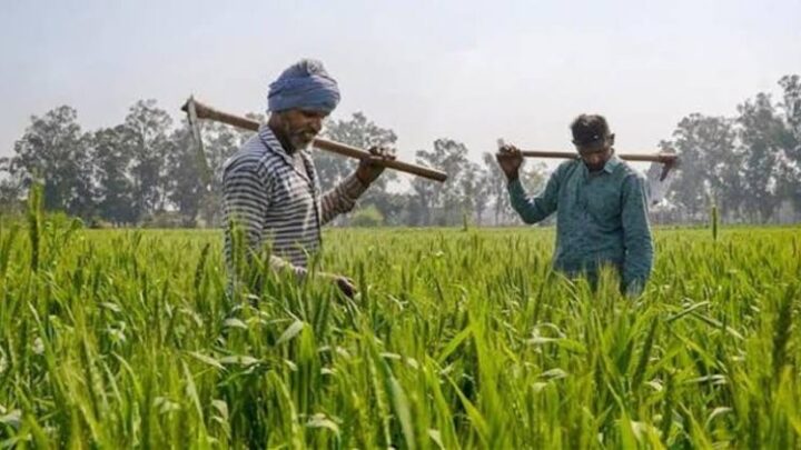 प्रदेश सरकार द्वारा किसानों के लिए बनेगा किसान कार्ड: कृषि भूमि के आधार से होगा लिंक