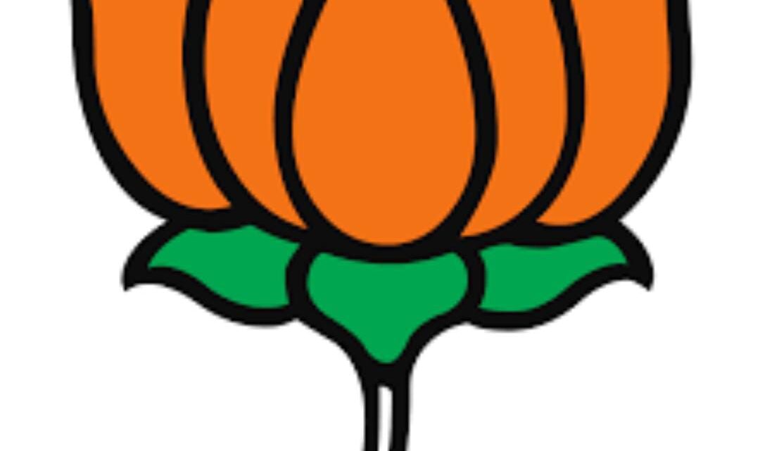 छत्तीसगढ़ बीजेवाईएम प्रदेश अध्यक्ष की दौड़ हुई तेज, युवा नेताओं ने ठोकी दावेदारी छत्तीसगढ़ बीजेवाईएम प्रदेश अध्यक्ष की दौड़ हुई तेज, युवा नेताओं ने ठोकी दावेदारी