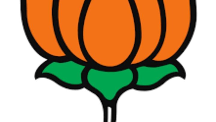 छत्तीसगढ़ बीजेवाईएम प्रदेश अध्यक्ष की दौड़ हुई तेज, युवा नेताओं ने ठोकी दावेदारी
