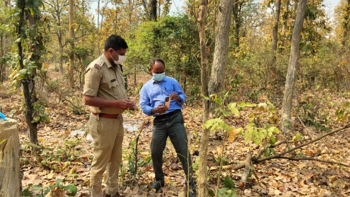बलरामपुर ब्रेकिंग   मानसिक रूप से बीमार महिला का जंगल में मिला सड़ा गला शव