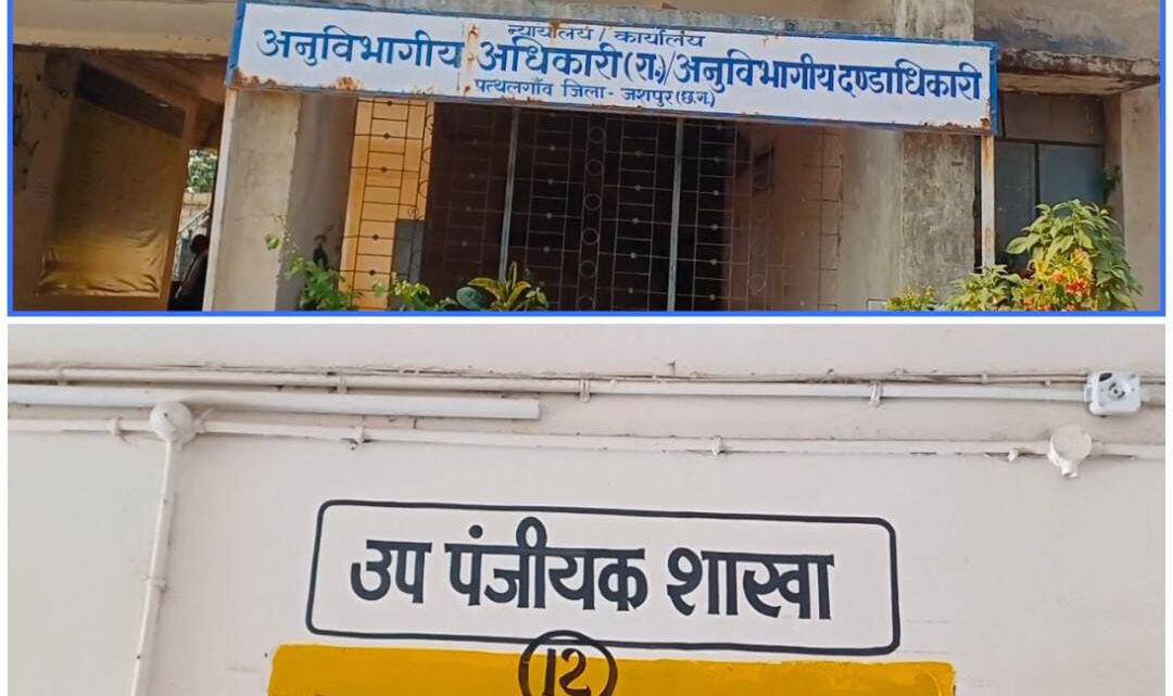 तहसीलदार की व्यस्तता ने बढ़ाई लोगों की परेशानी, पत्थलगांव में रजिस्ट्री के लिए जनता कर रही मशक्कत तहसीलदार की व्यस्तता ने बढ़ाई लोगों की परेशानी, पत्थलगांव में रजिस्ट्री के लिए जनता कर रही मशक्कत