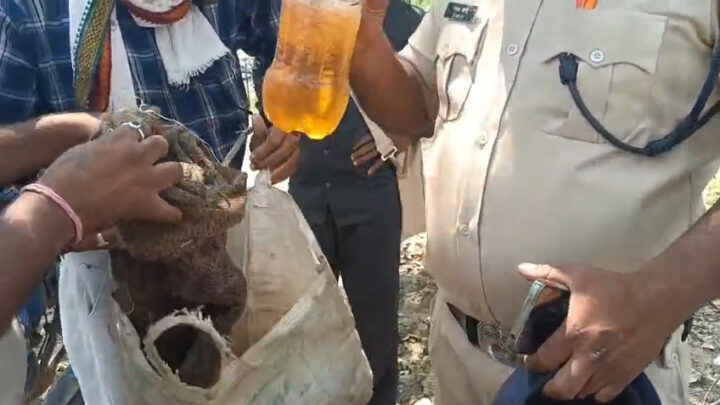 कलेक्टरेट में आत्महत्या करने पहुंचा किसान, पुलिस ने पेट्रोल भरा बोतल किया जब्त, किसान ने कहा, तहसीलदार और पटवारी ने मेरी जिंदगी