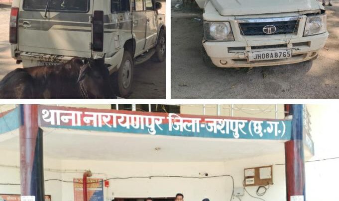 एक सूमो गाड़ी से 04 गौ वंशों को कराया गया मुक्त, तीन आरोपी गिरफ्तार, एक अन्य मामले में थाना नारायणपुर पुलिस ने, गौ हत्या कर मांस ले जाने के आरोप में तीन आरोपियों को किया गिरफ्तार, भेजा जाएगा जेल