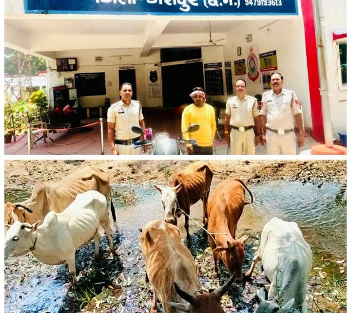 जशपुर पुलिस ढूंढ लाई फरार गौ मांस तस्कर को,06 नग गौ वंशों को भी मुक्त कराया तस्करों के चंगुल से,तीन साल से फरार पशु तस्कर इमरान को जशपुर पुलिस पकड़ लाई उड़ीसा से जशपुर पुलिस ढूंढ लाई फरार गौ मांस तस्कर को,06 नग गौ वंशों को भी मुक्त कराया तस्करों के चंगुल से,तीन साल से फरार पशु तस्कर इमरान को जशपुर पुलिस पकड़ लाई उड़ीसा से