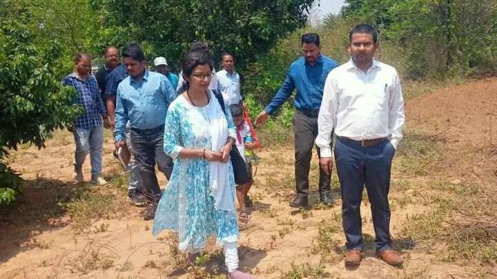 जिला पंचायत सीईओ ने शासकीय रोपणी का किया निरीक्षण ’प्रगतिशील किसानों से चर्चा कर शासकीय योजनाओं से प्राप्त लाभ की ली जानकारी