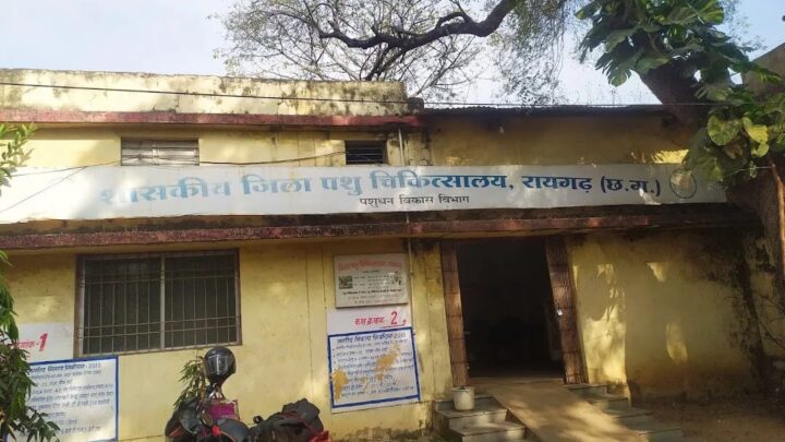 रायगढ़ : 2012 की विवादास्पद भर्ती प्रक्रिया पर न्याय की अंतिम मुहर – पशु चिकित्सा विभाग में नियुक्त 44 कर्मचारी बर्खास्त…*