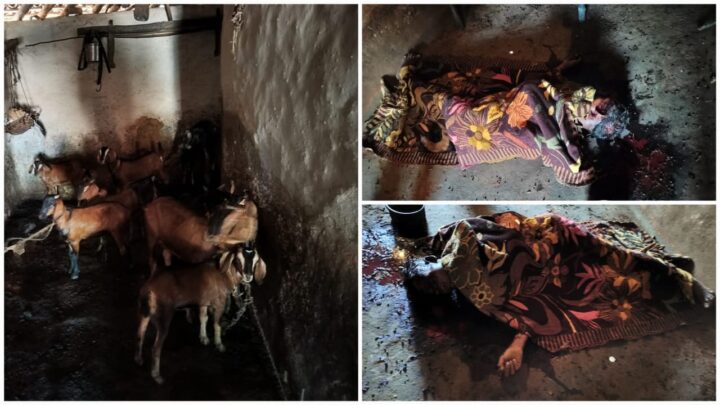 अंबिकापुर : बकरियों की लालच में ग्रामीण की निर्मम हत्या, चार बकरियां चोरी कर फरार हुए हत्यारे…*