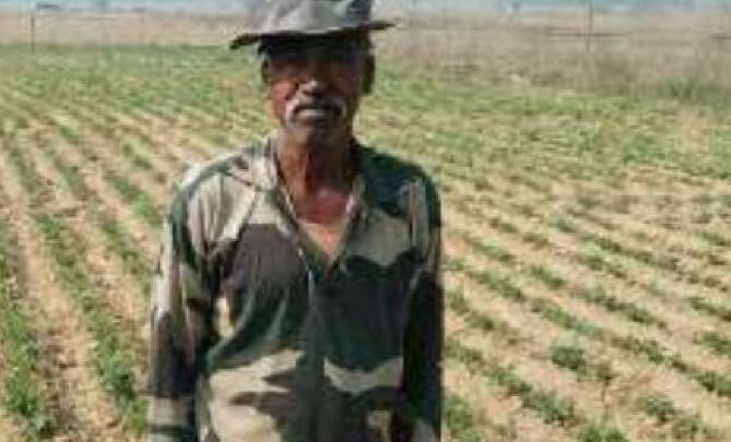 सफलता की कहानी ग्रीष्मकालीन फसल में किसानों के लिए मूंगफली की फसल लाभदायक कम पानी से अच्छी फसल किसान बरजू भगत ने 1 एकड़ में मूंगफली फसल की कर रहे खेती