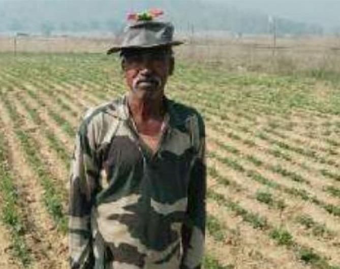 सफलता की कहानी ग्रीष्मकालीन फसल में किसानों के लिए मूंगफली की फसल लाभदायक कम पानी से अच्छी फसल किसान बरजू भगत ने 1 एकड़ में मूंगफली फसल की कर रहे खेती