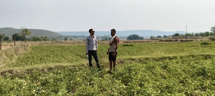 सफलता की कहानी राष्ट्रीय बागवानी मिशन योजना का लाभ लेकर टेम्पू के  किसान श्री सुनील भगत कर रहे टमाटर की खेती उन्नत विधि अपना कर टमाटर की खेती से 55 हजार से अधिक का हुआ मुनाफा
