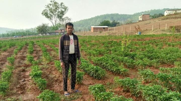 खेती की उन्नत विधि से जुड़कर मिर्च उत्पादन से किसान कमा रहे अच्छा मुनाफा किसान प्रसन्न एक्का मिर्च विक्रय से साल में 1 लाख रुपए तक कमा लेते है