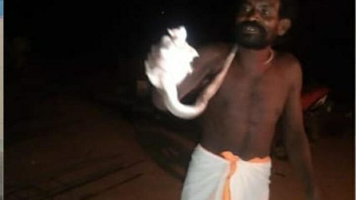 झाड़ फूंक करने वाला बाबा सांप काटने पर डाक्टरों की शरण में आकर बचाई अपनी जान