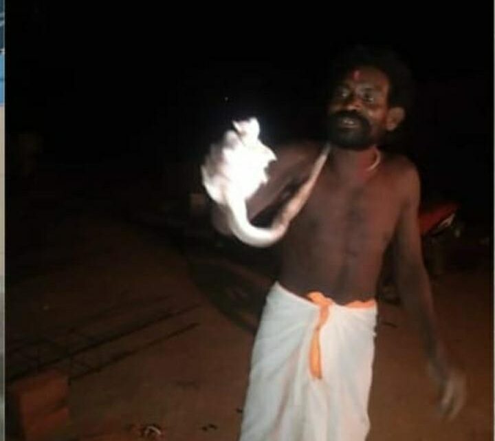 झाड़ फूंक करने वाला बाबा सांप काटने पर डाक्टरों की शरण में आकर बचाई अपनी जान