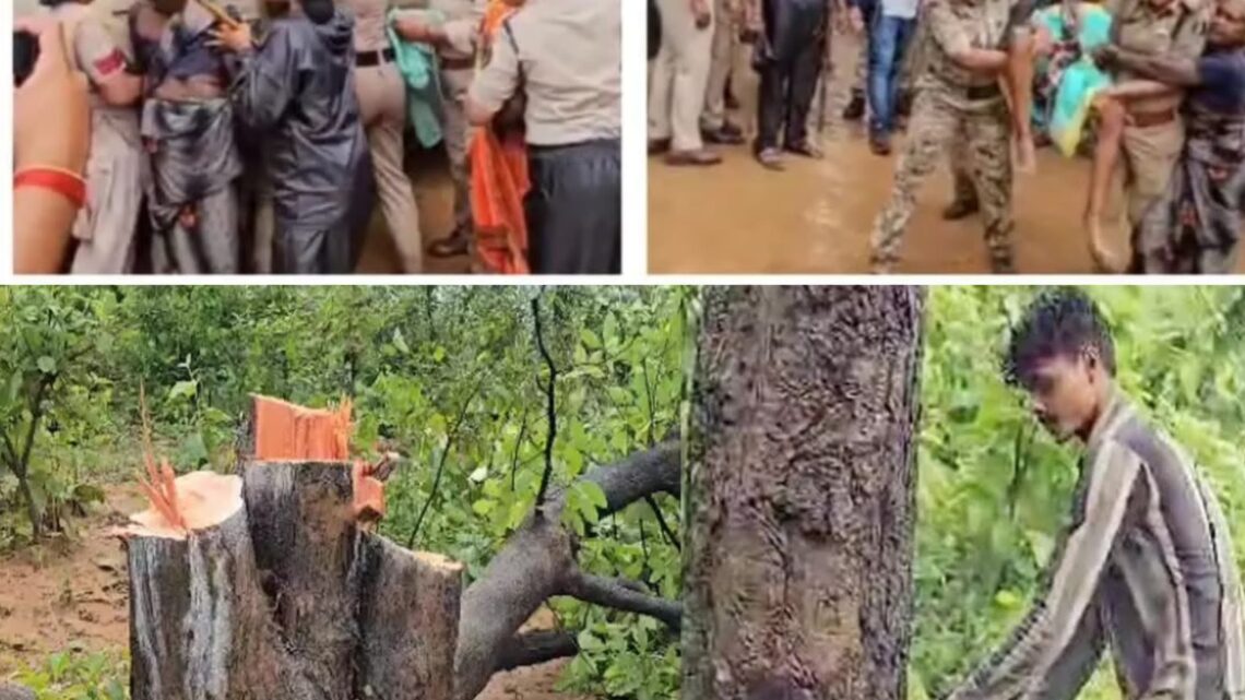 तमनार विकासखंड के मुड़ागांव में कोयला खदान के लिए पेड़ों की कटाई, विरोध करने पर पूर्व मंत्री एवं काग्रेसी विधायक गिरफ्तार