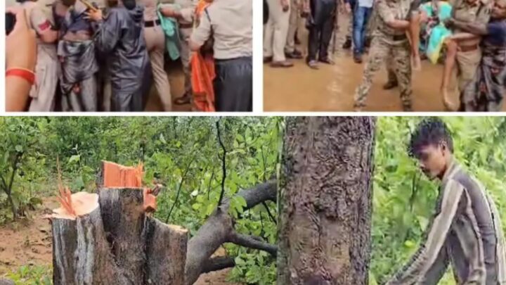 तमनार विकासखंड के मुड़ागांव में कोयला खदान के लिए पेड़ों की कटाई, विरोध करने पर पूर्व मंत्री एवं काग्रेसी विधायक गिरफ्तार