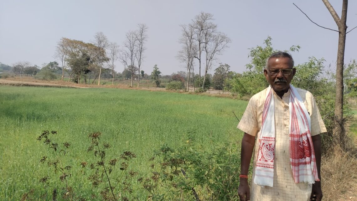 गर्मी के मौसम में गेहूं की फसल कम लागत में किसानों को ज्यादा मुनाफा गर्मी के मौसम में गेहूं की फसल कम लागत में किसानों को ज्यादा मुनाफा