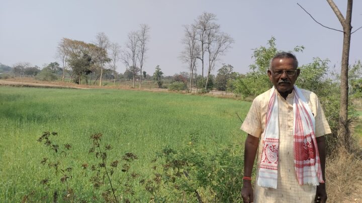 गर्मी के मौसम में गेहूं की फसल कम लागत में किसानों को ज्यादा मुनाफा