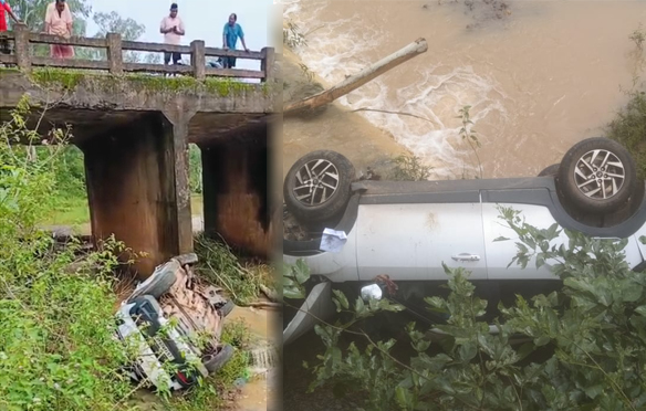 पटवारी की कार पुल से सीधे नीचे नदी में गिरी, आफिस से वापस लौटने के दौरान हुआ हादसा