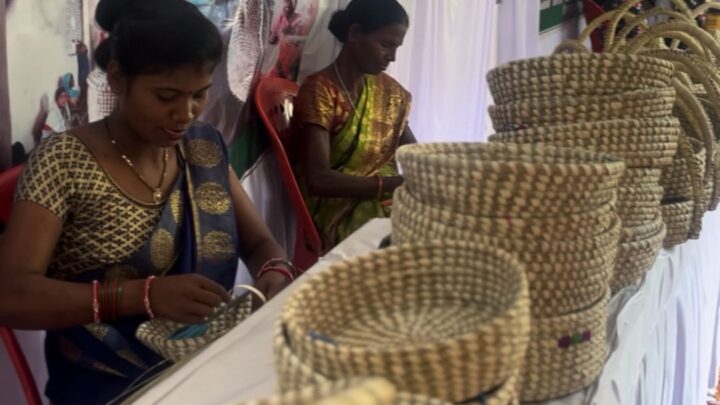 स्व सहायता समूह से जुड़कर कांसाबेल की महिलाओं ने स्वरोजगार की राह अपनाई