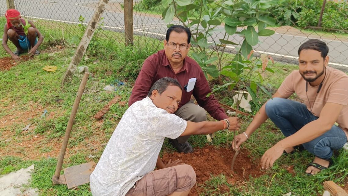 सहकारी समिति तपकरा,कोनपारा चोंगरीबहार एवं कांसाबेल में पौधरोपण किया गया