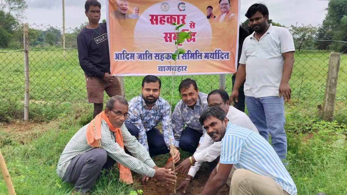 अंतराष्ट्रीय सहकारिता दिवस एक पेड़ माँ के नाम अभियान अंतर्गत जिले के 24 आदिम जाति सेवा सहकारी समितियों में हुआ पौधरोपण कार्यक्रम