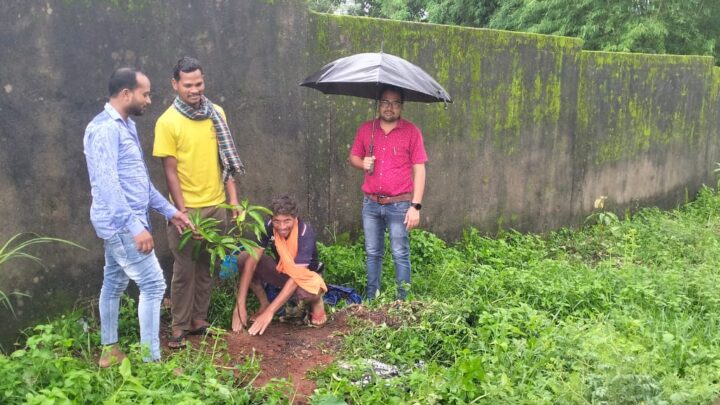 आदिम जाति सेवा सहकारी समिति गम्हरिया,दुलदुला और आरा में किया गया पौधरोपण