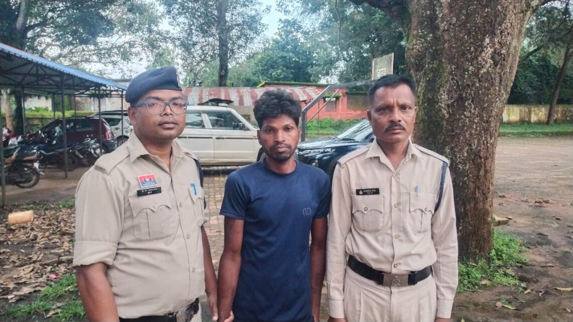 शादी का झांसा दे नाबालिक बालिका  का अपहरण कर ,शारीरिक शोषण करने वाले आरोपी को पुलिस ने किया गिरफ्तार भेजा जेल