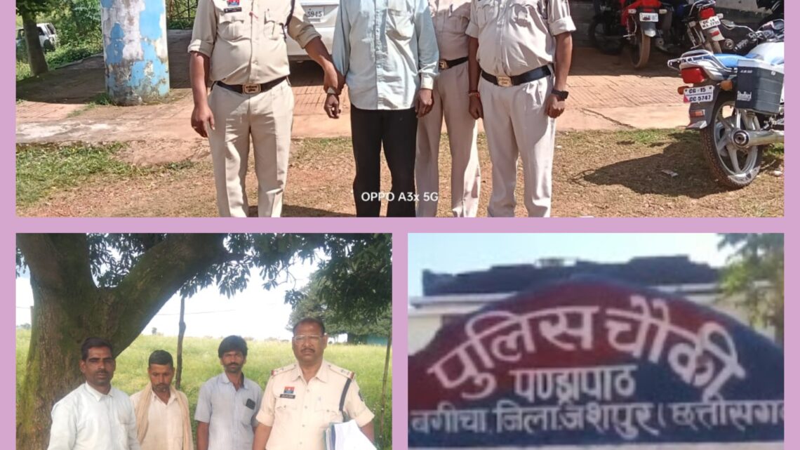 नशे के खिलाफ जशपुर पुलिस का ऑपरेशन आघात जारी,घर की बाड़ी में मादक पदार्थ गांजा उगाने वाले आरोपी को पुलिस ने किया गिरफ्तार भेजा जेल