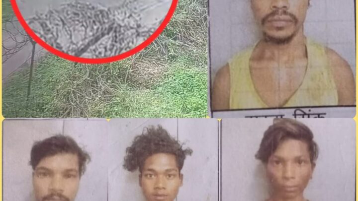 जेल ब्रेक के 24 घंटे बाद भी फरार 4 कैदियों का नही मिल सका सुराग, पुलिस सरगर्मी से तलाश में जुटी, SP ने किया 10 हजार रूपये इनाम की घोषणा