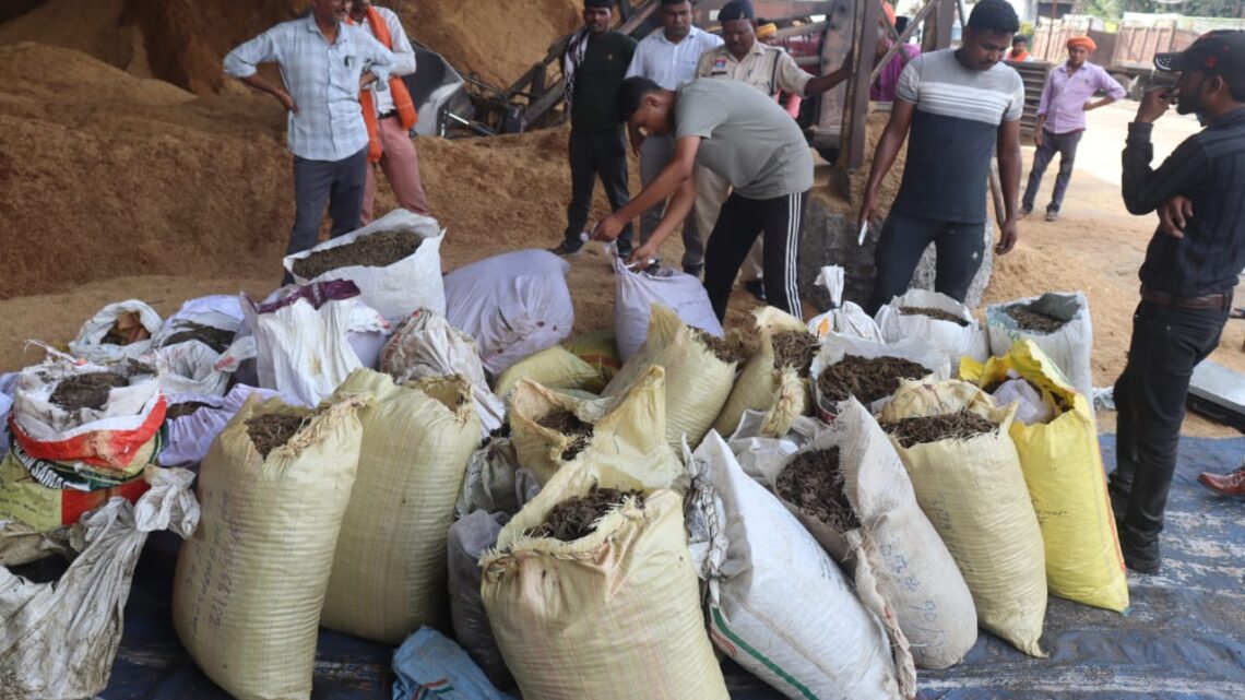 जशपुर जिले के विभिन्न थाना/चौकियों में दर्ज 25 एनडीपीएस के प्रकरणों में  जप्त   नशीली मादक पदार्थों को किया गया नष्ट