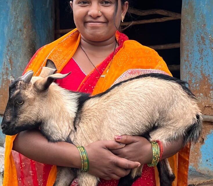 सविता रजक बकरी पालन व्यवसाय को बढ़ा रही आगे महतारी वंदन योजना, प्रधानमंत्री आवास योजना, प्रधानमंत्री उज्ज्वला योजना का मिला लाभ