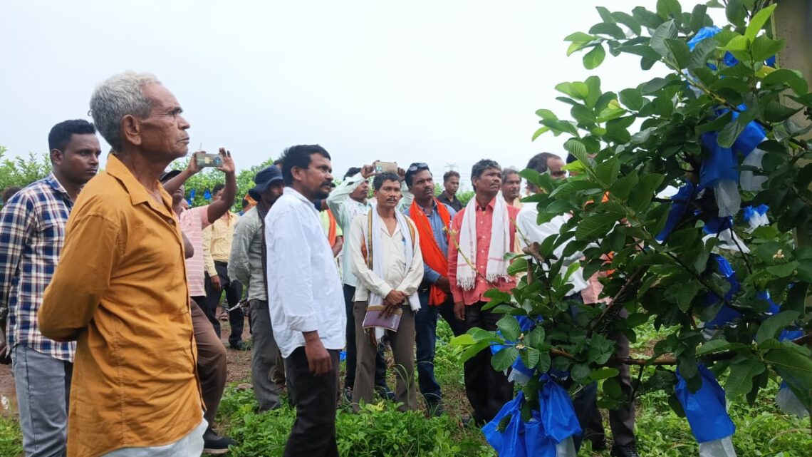 कुटमा के टोंकाधर घर से एक चीतल को रेस्क्यू कर निकाला गया बहार