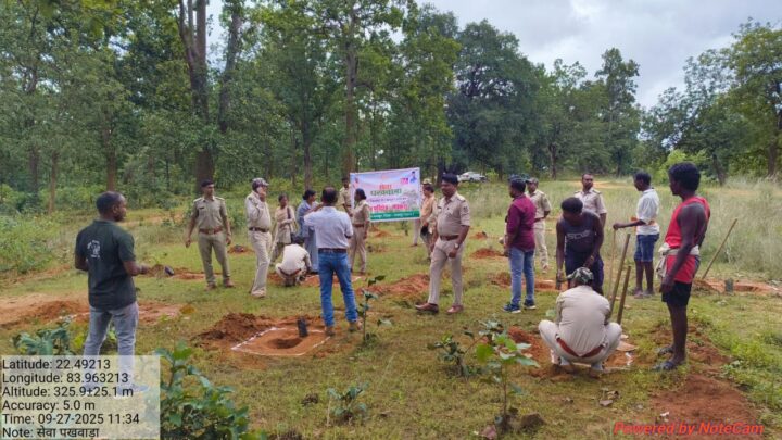 अवैध रूप से खेती किए गए वन क्षेत्र में होगा वृक्षारोपण
