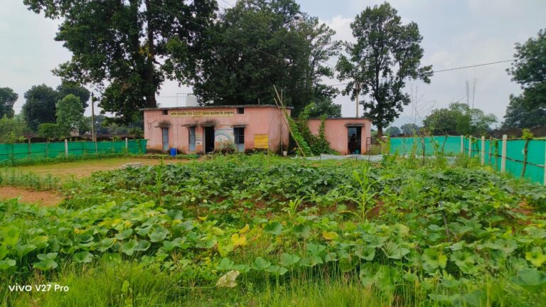 किचन गार्डन की अनोखी पहल , बेलडेगी स्कूल के बच्चे अब खा रहे हैं अपने हाथों से उगाई सब्जियां