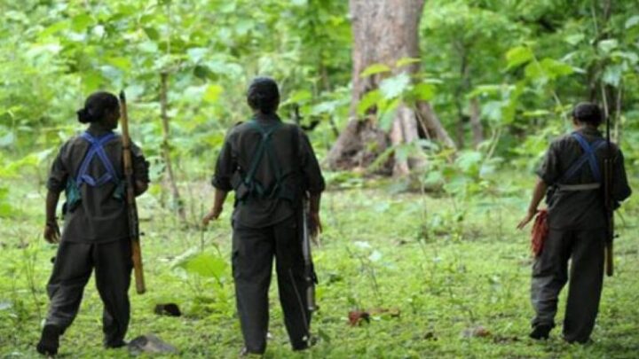 दंतेवाड़ा में नक्सलियों ने बेटे के बाद पिता की कर दी निर्मम हत्या, दहशत बनाने ग्रामीणों की कर रहे हत्या