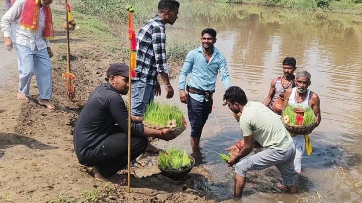 मां महामाया मंदिर, मल्लाहपारा मुंगेली — जवारा विसर्जन संपन्न