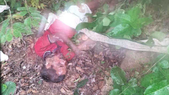 हाथी के हमले से एक व्यक्ति की मौत, एक ने जान बचाकर भागने में रहा सफल