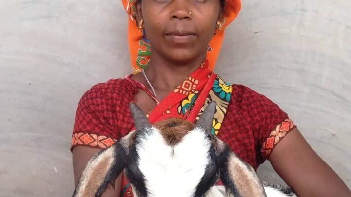 महिला सशक्तिकरण की दिशा में महतारी वंदना योजना महिलाओं के लिए अवसर , हजार रुपये की राशि ने दिया संबल , शामपति ने योजना की राशि से शुरू किया बकरी पालन, परिवार की आर्थिक स्थिति में आया सुधार