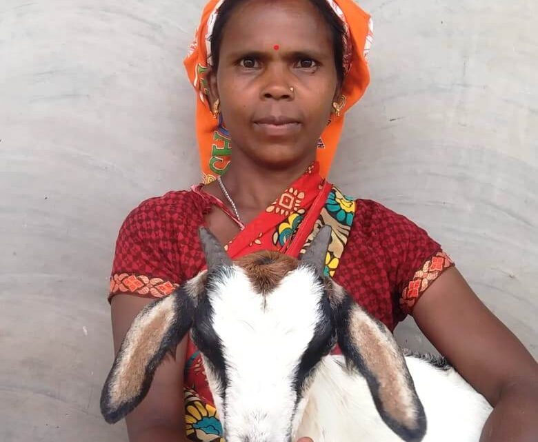 महिला सशक्तिकरण की दिशा में महतारी वंदना योजना महिलाओं के लिए अवसर , हजार रुपये की राशि ने दिया संबल , शामपति ने योजना की राशि से शुरू किया बकरी पालन, परिवार की आर्थिक स्थिति में आया सुधार