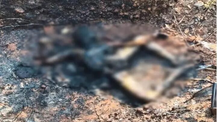 जशपुर में दिवाली पर दिल दहला देने वाली घटना, सड़क किनारे मिला जला शव