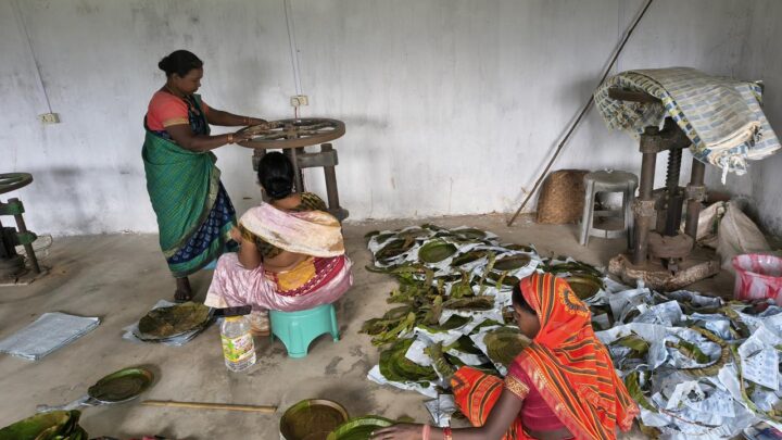 पी.एम. जनमन योजना का मिल रहा लाभ विशेष पिछड़ी जनजाति पहाड़ी कोरवा महिलाओं को महिलाओं को मिला रोजगार का अवसर