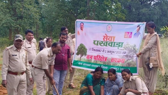 हटाये गये अवैध अतिक्रमण एवं किया गया पौध रोपण