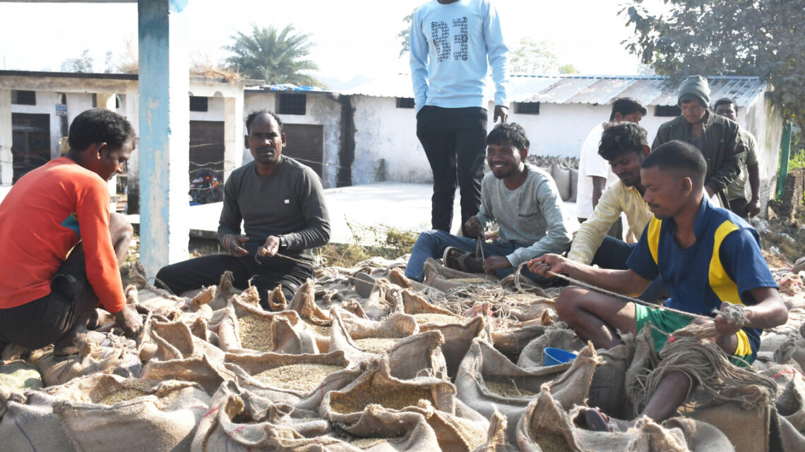 बलरामपुर जिले में अब तक 60516 क्विंटल धान की खरीदी