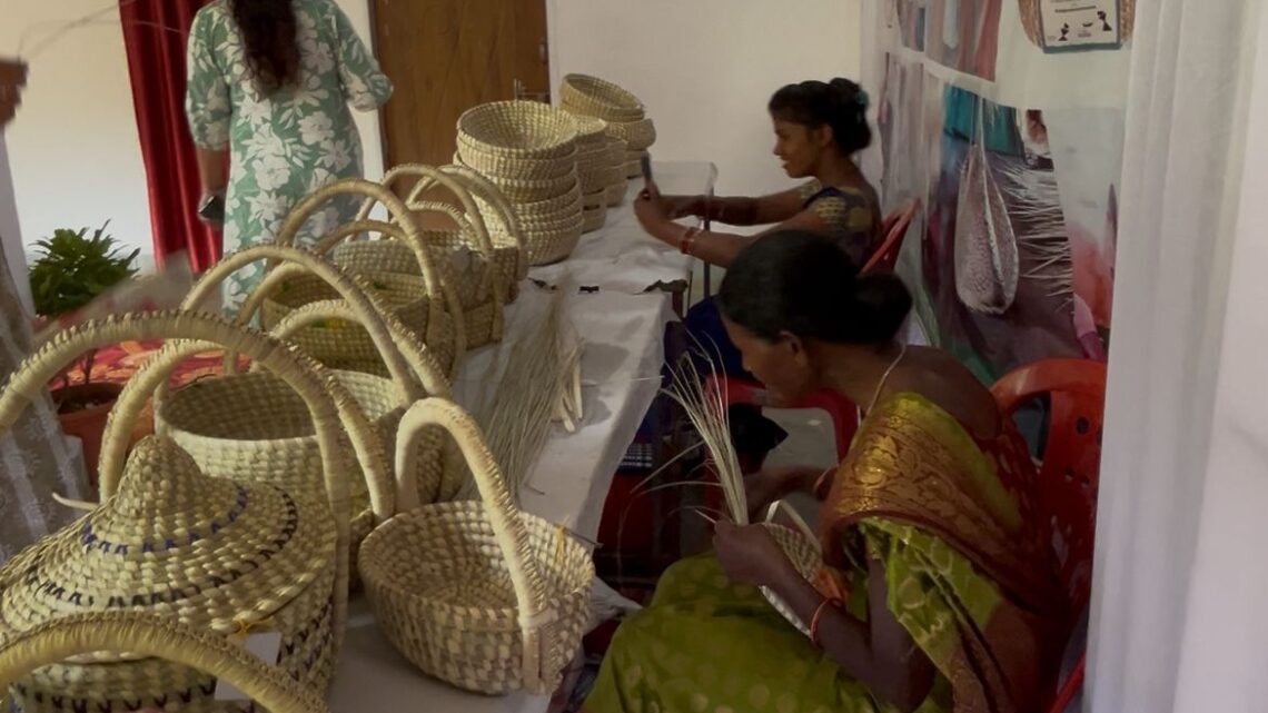 संभाग स्तरीय सरस मेला 2025 में महिला सशक्तिकरण की दिखेगी झलक