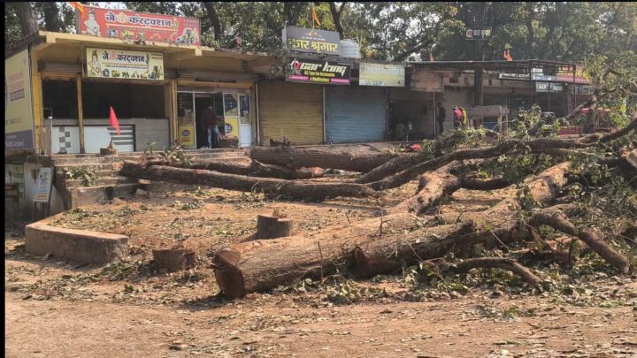 सड़क के नाम पर हरियाली का नरसंहार! ‘एक पेड़ मां के नाम’ की खुलेआम हत्या, गरियाबंद में सत्ता–प्रशासन बेनकाब