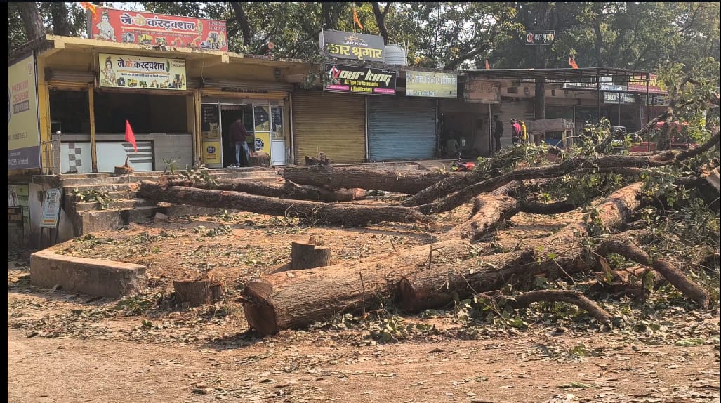 सड़क के नाम पर हरियाली का नरसंहार! ‘एक पेड़ मां के नाम’ की खुलेआम हत्या, गरियाबंद में सत्ता–प्रशासन बेनकाब