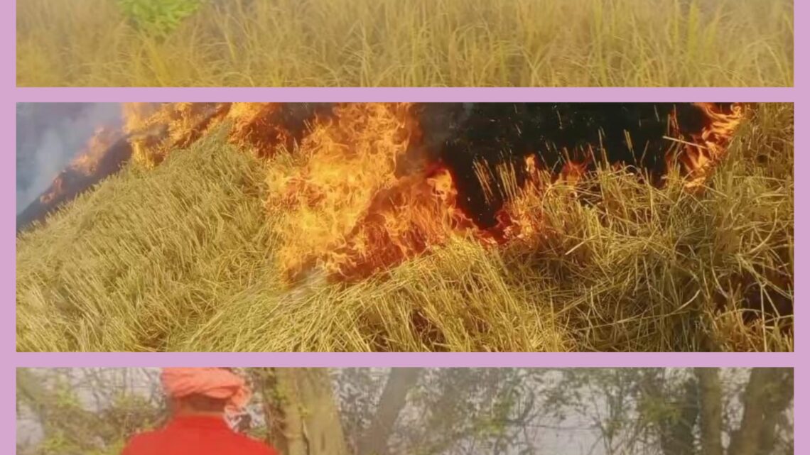 पराली में आग लगाना पड़ा महंगा,किसान का फसल जलकर राख,लाखों का नुकसान