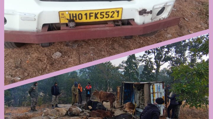 जशपुर पुलिस फिर छुड़ाया दो पिकअप से 26 नग गौ वंशों को,तस्कर फरार,पुलिस कर रही है तलाश,शीघ्र ही किया जाऐगा गिरफ्तार