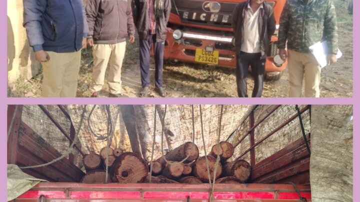वन विभाग द्वारा अवैध वनोपज परिवहन पर की गई कार्यवाही,सेमल लकड़ी से लदा आईशर ट्रक जप्त